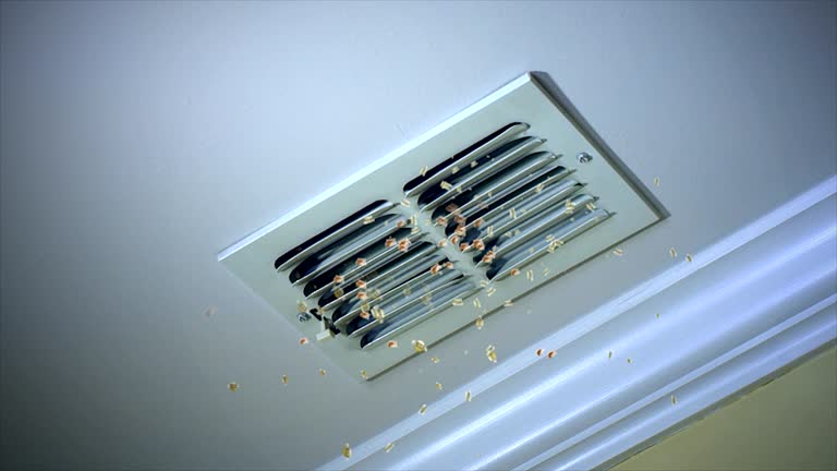 Best HVAC Duct Inspection Services  in Mount Olive, NC