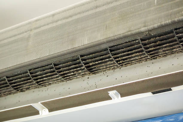 Best Air Duct Cleaning Company Near Me  in Mount Olive, NC